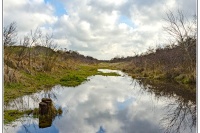_20170122_1794166510.jpg