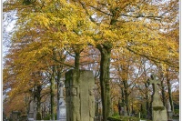 W1-02.jpg