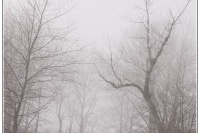 W1-03.jpg