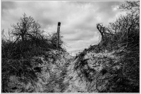 W6-04.jpg