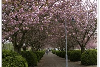 W1-02.jpg